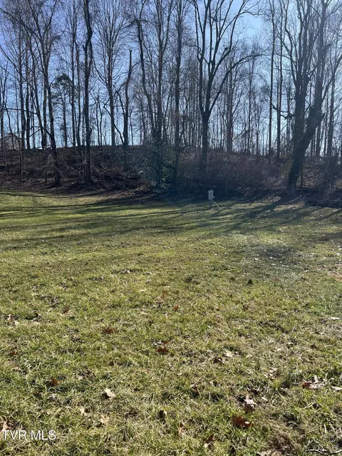 111 Clearwater Drive Unicoi Tn 37692, Unicoi, TN 37692