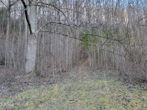 Other - 1701 Jonesborough Road Erwin Tn 37650, Erwin, TN 37650 photo 18 of 25