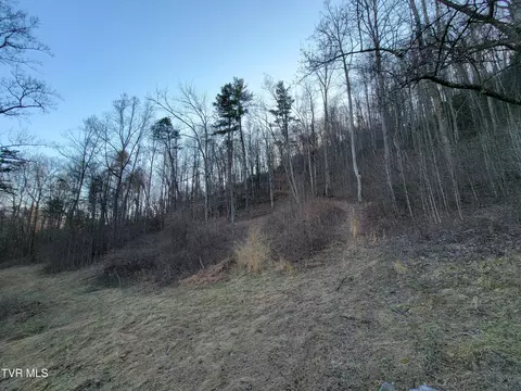 Exterior - 1701 Jonesborough Road Erwin Tn 37650, Erwin, TN 37650 photo 9 of 16