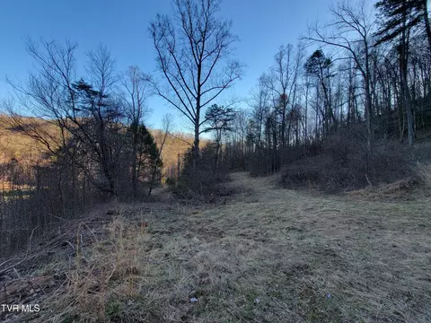 Other - 1701 Jonesborough Road Erwin Tn 37650, Erwin, TN 37650 photo 17 of 25