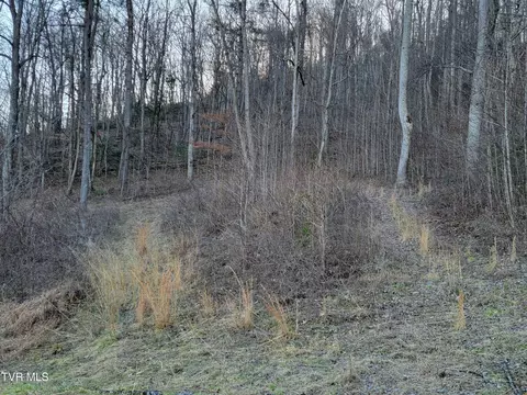 Other - 1701 Jonesborough Road Erwin Tn 37650, Erwin, TN 37650 photo 19 of 25