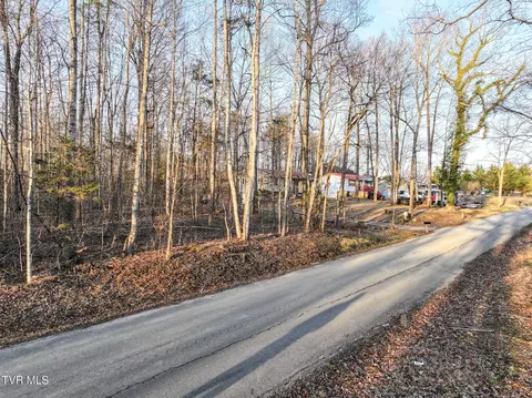 95 Acre 95 Acre Beverly Hills Dr Mosheim Tn 37818, Mosheim, TN 37818