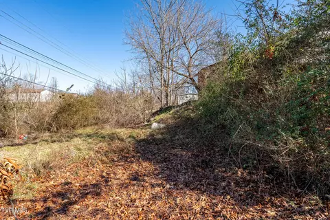 1901 E Myrtle Avenue Johnson City Tn 37601, Johnson City, TN 37601 photo 21