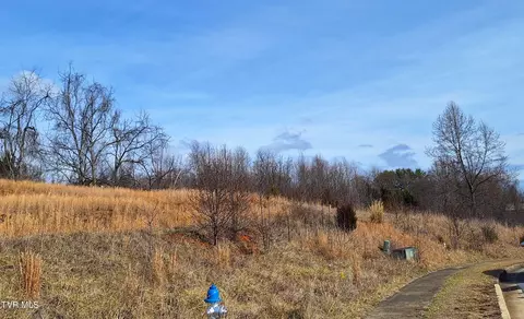 tbd Mizpah Hills Drive Johnson City Tn 37604, Johnson City, TN 37604
