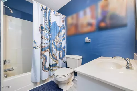 Bath - 102 Springview Drive Gray Tn 37615, Gray, TN 37615 photo 1 of 3