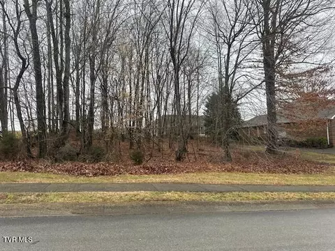 104 Forest Lane S Blountville Tn 37617, Blountville, TN 37617