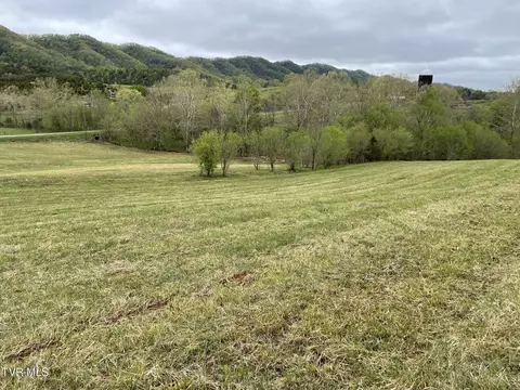 0 Clinch Valley Rd Eidson Tn 37731, Eidson, TN 37731