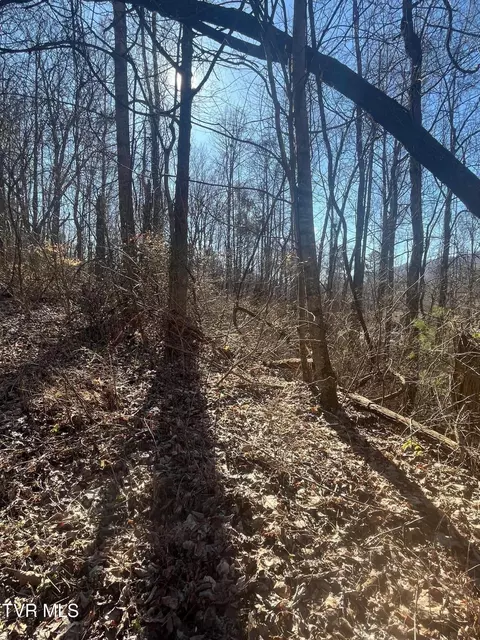 tbd Hampton View Dr 4th Ave Hampton Tn 37658, Hampton, TN 37658 photo 4
