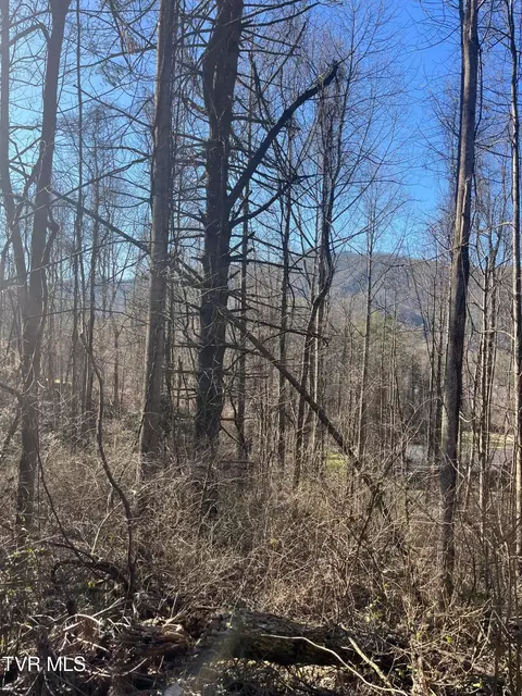 tbd Hampton View Dr 4th Ave Hampton Tn 37658, Hampton, TN 37658 photo 7