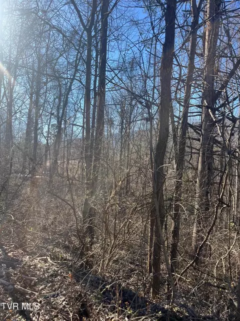 tbd Hampton View Dr 4th Ave Hampton Tn 37658, Hampton, TN 37658 photo 5