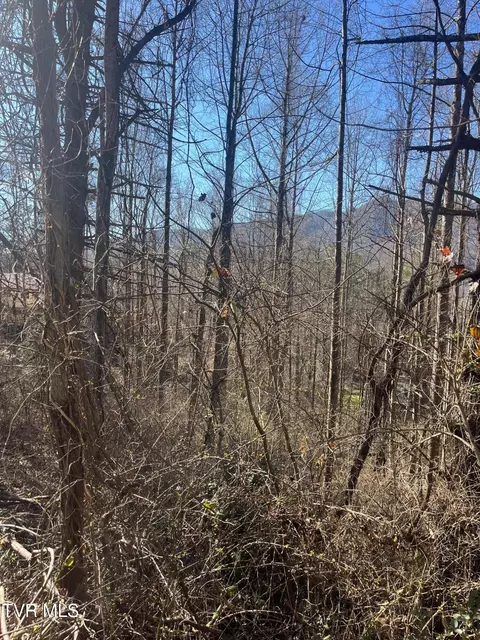 tbd Hampton View Dr 4th Ave Hampton Tn 37658, Hampton, TN 37658 photo 8