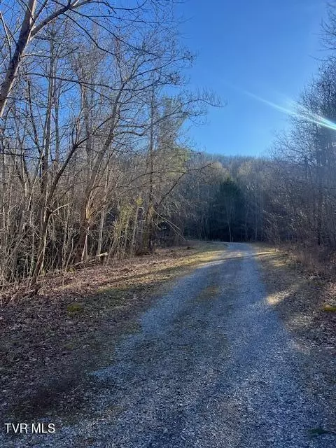 tbd 1 Luttrell Street Erwin Tn 37650, Erwin, TN 37650 photo 2