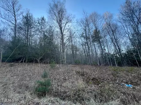tbd 1 Luttrell Street Erwin Tn 37650, Erwin, TN 37650 photo 9