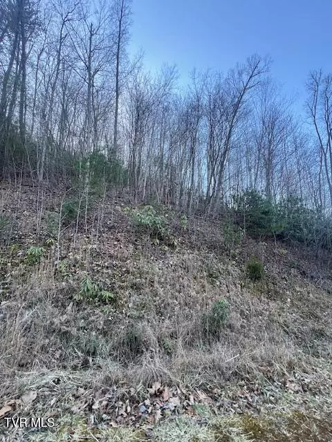 tbd 1 Luttrell Street Erwin Tn 37650, Erwin, TN 37650 photo 7