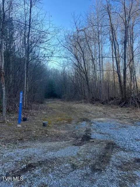 tbd 1 Luttrell Street Erwin Tn 37650, Erwin, TN 37650 photo 10