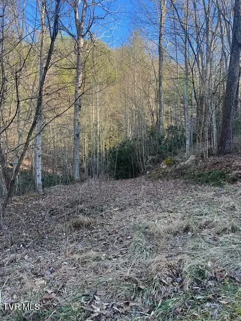 tbd 1 Luttrell Street Erwin Tn 37650, Erwin, TN 37650 photo 3