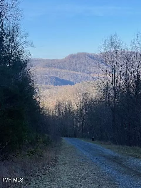 tbd 1 Luttrell Street Erwin Tn 37650, Erwin, TN 37650 photo 6