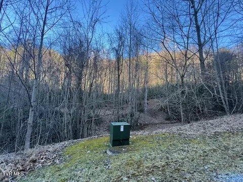 tbd 1 Luttrell Street Erwin Tn 37650, Erwin, TN 37650 photo 5