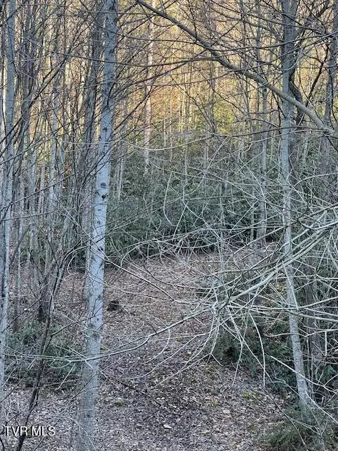 tbd 1 Luttrell Street Erwin Tn 37650, Erwin, TN 37650 photo 4