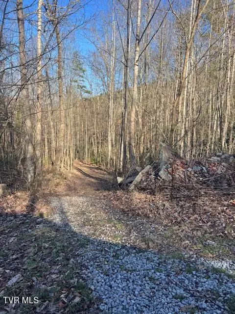 tbd 1 Luttrell Street Erwin Tn 37650, Erwin, TN 37650