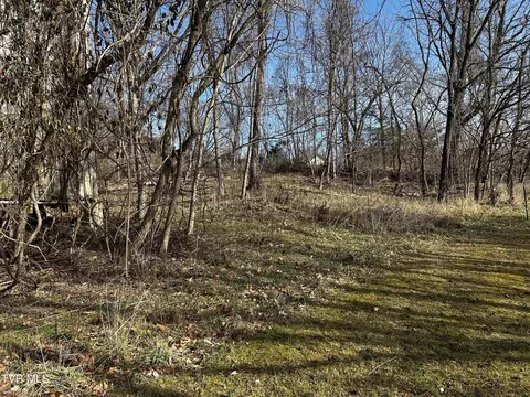 198 Maple Tree Lane Watauga Tn 37694, Watauga, TN 37694 photo 4