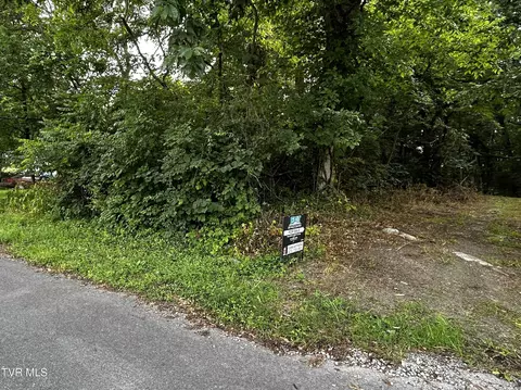 198 Maple Tree Lane Watauga Tn 37694, Watauga, TN 37694 photo 17