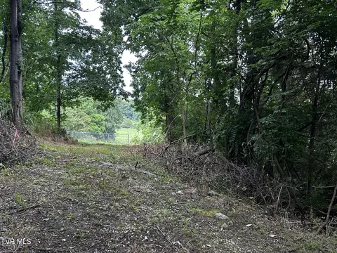198 Maple Tree Lane Watauga Tn 37694, Watauga, TN 37694 photo 10