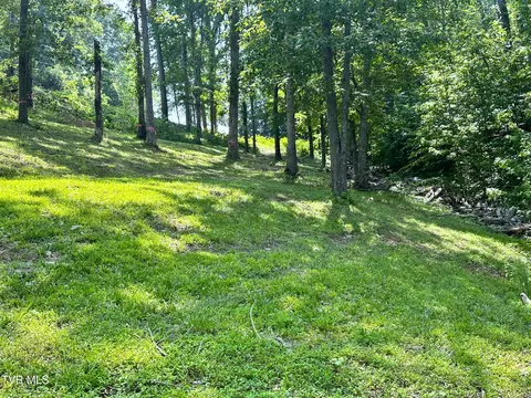 534 Bonnevista Drive White Pine Tn 37890, White Pine, TN 37890