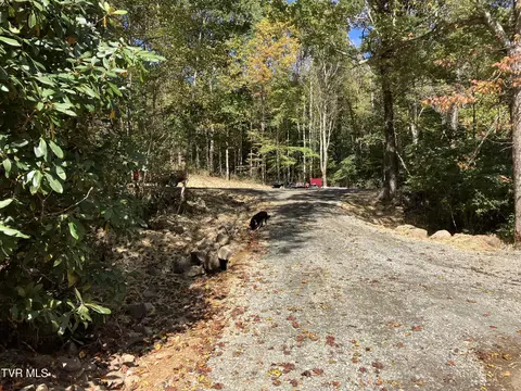 104 Ac Tbd Fire Tower Road Mountain City Tn 37683, Mountain City, TN 37683