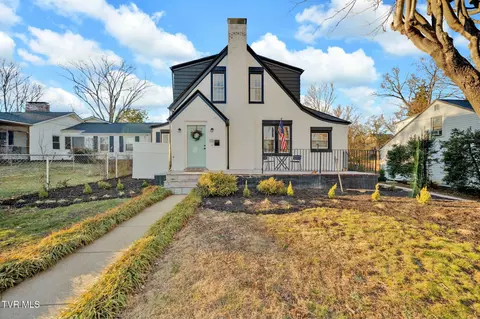 113 E 10th Avenue Johnson City Tn 37601, Johnson City, TN 37601