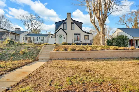 113 E 10th Avenue Johnson City Tn 37601, Johnson City, TN 37601 photo 43