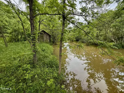212 Ac 0 Tbd Pressmens Home Road Rogersville Tn 37857, Rogersville, TN 37857