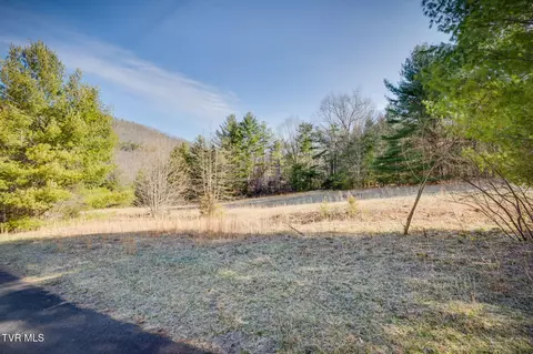 lot S 7-8 Myrtle Drive Butler Tn 37640, Butler, TN 37640