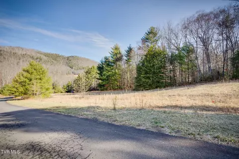 lot S 9-10 Myrtle Drive Butler Tn 37640, Butler, TN 37640