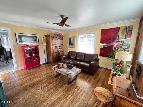 Living - 800 E Unaka Avenue Johnson City Tn 37601, Johnson City, TN 37601 photo 3 of 4
