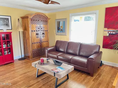 Living - 800 E Unaka Avenue Johnson City Tn 37601, Johnson City, TN 37601 photo 1 of 4