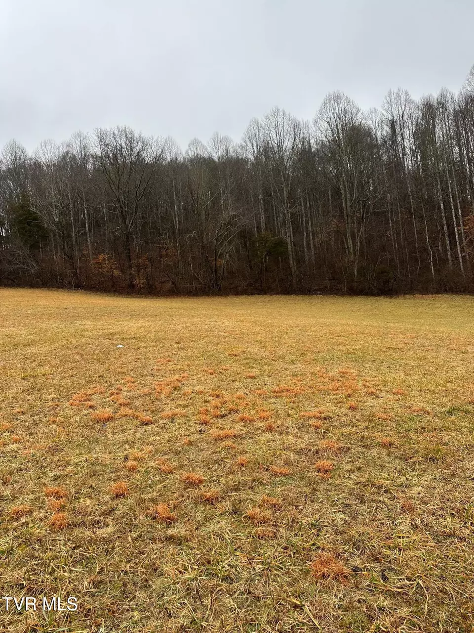  16037 Knights Bridge Road Abingdon Va 24210, Abingdon, VA 24210 photo 10