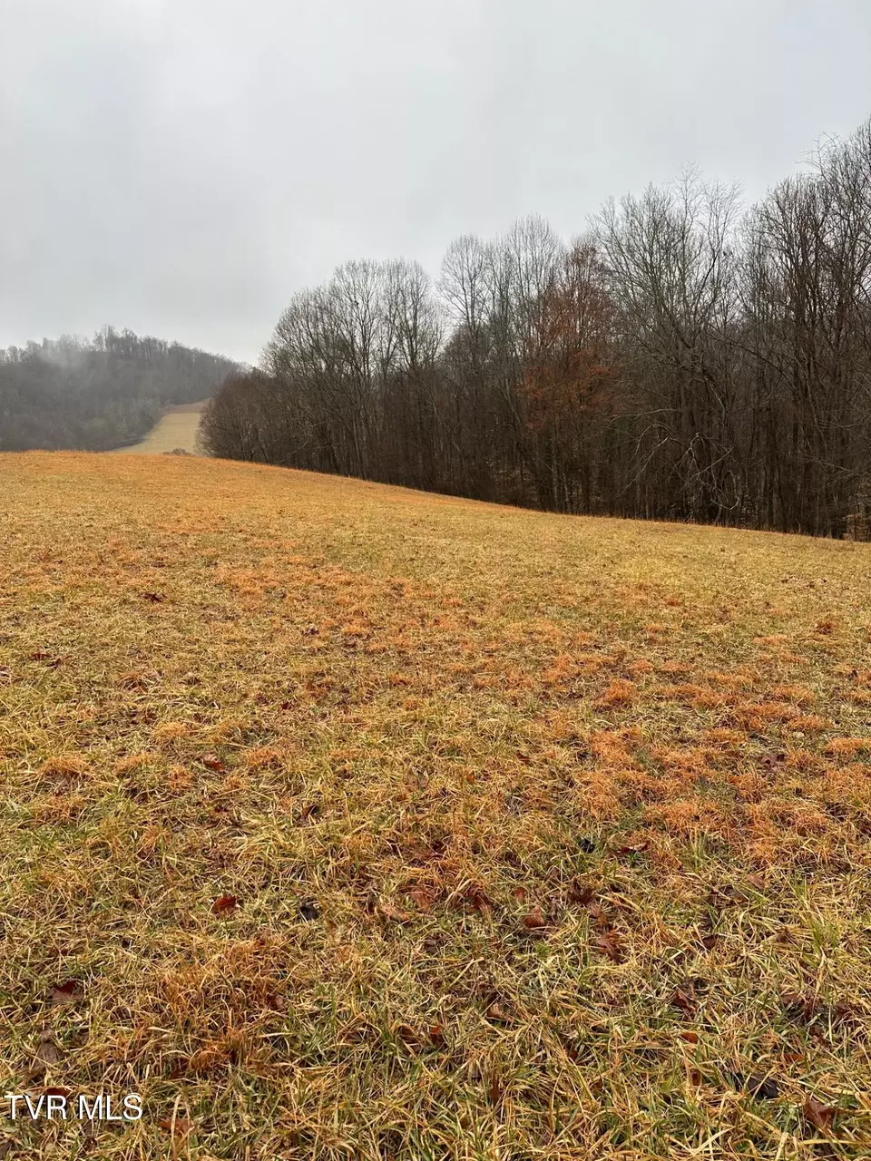  16037 Knights Bridge Road Abingdon Va 24210, Abingdon, VA 24210 photo 9