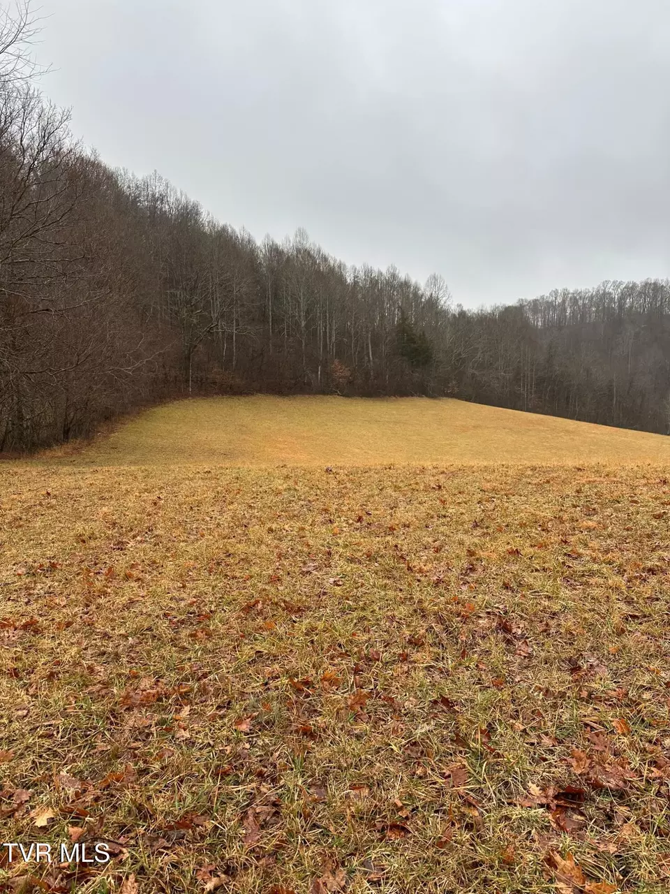  16037 Knights Bridge Road Abingdon Va 24210, Abingdon, VA 24210 photo 7