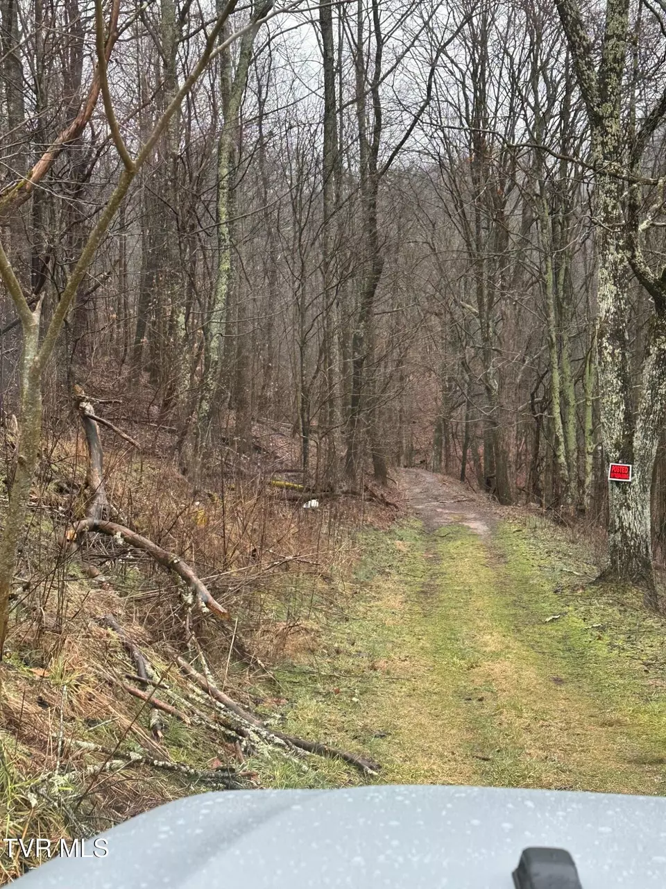  16037 Knights Bridge Road Abingdon Va 24210, Abingdon, VA 24210 photo 3