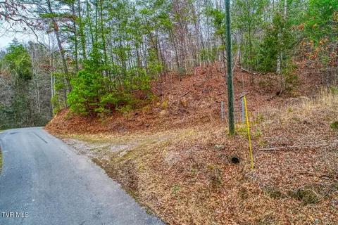 tbd Stinnett Ridge Road Cosby Tn 37722, Cosby, TN 37722