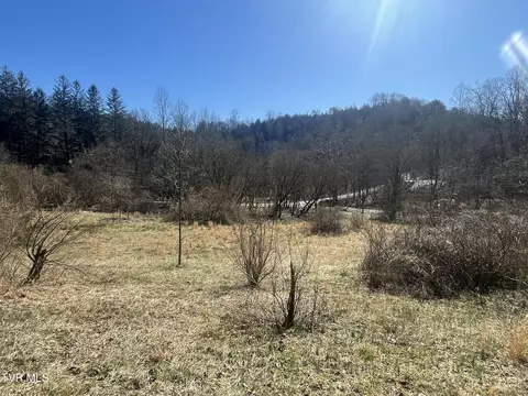 168 Osborne Ridge Road Dungannon Va 24245, Dungannon, VA 24245