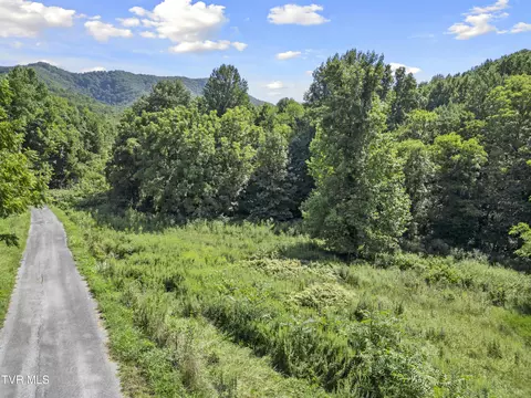 1 9 Acres Cecil Davis Road Greeneville Tn 37743, Greeneville, TN 37743