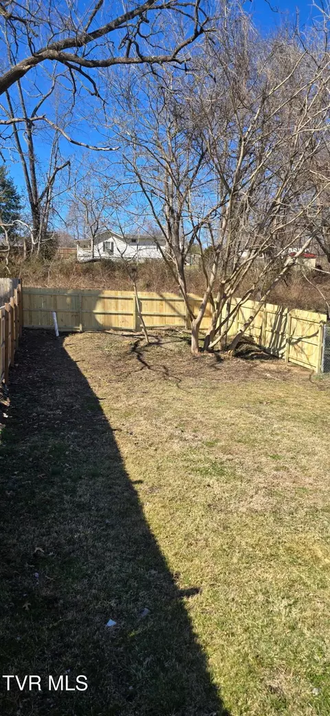 1705 E Fairview Avenue Johnson City Tn 37601, Johnson City, TN 37601 photo 24