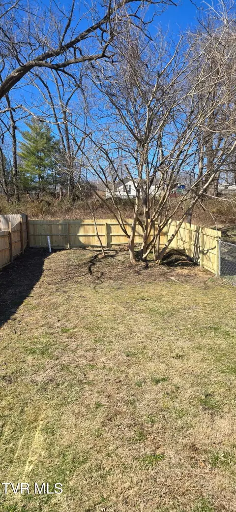 1705 E Fairview Avenue Johnson City Tn 37601, Johnson City, TN 37601 photo 25