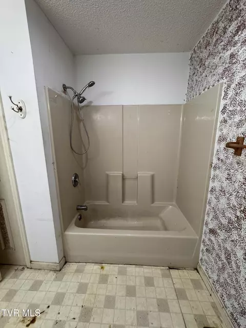 Bath - 111 Miller Street Limestone Tn 37681, Limestone, TN 37681 photo 2 of 5