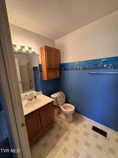 Bath - 111 Miller Street Limestone Tn 37681, Limestone, TN 37681 photo 4 of 5