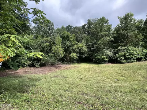 lot5 Clemon Road Bulls Gap Tn 37711, Bulls Gap, TN 37711