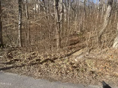 lot20 Kallen Drive Kingsport Tn 37660, Kingsport, TN 37660