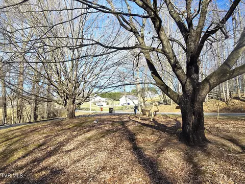 2154 Old State Route 34 Limestone Tn 37681, Limestone, TN 37681 photo 34